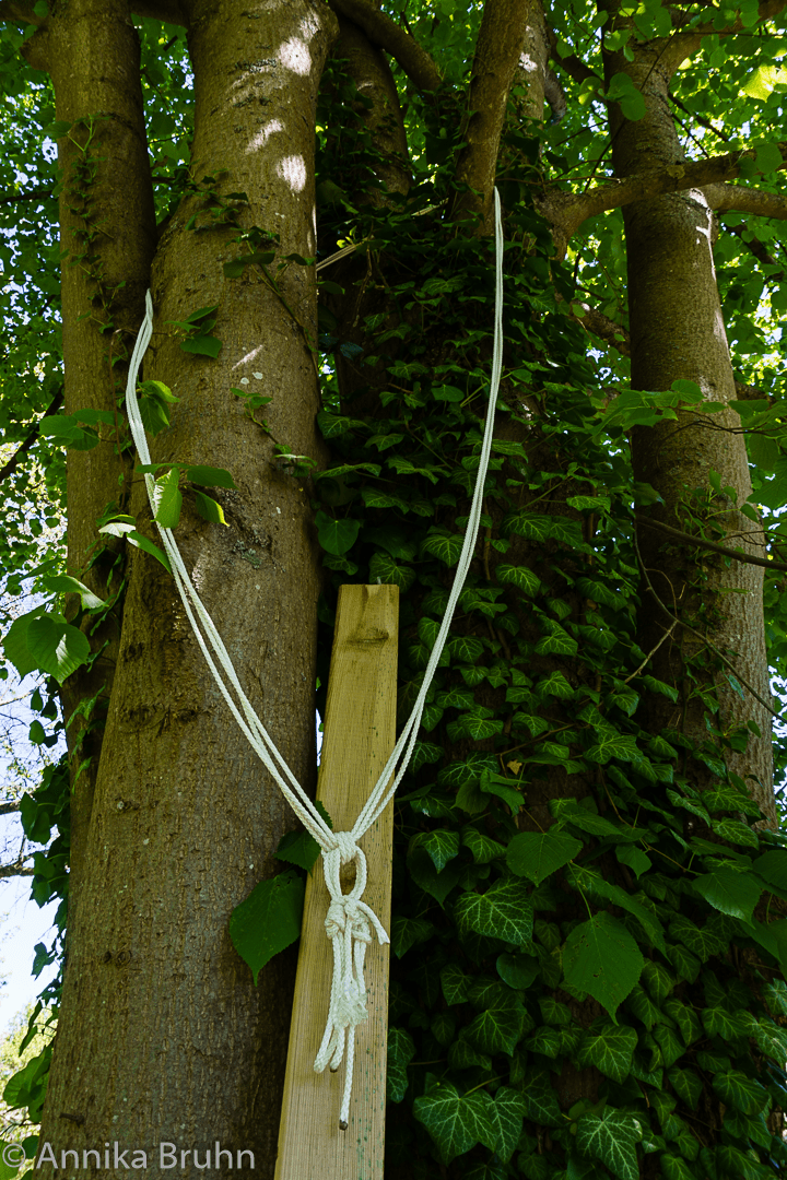 Schlaufe am Baum